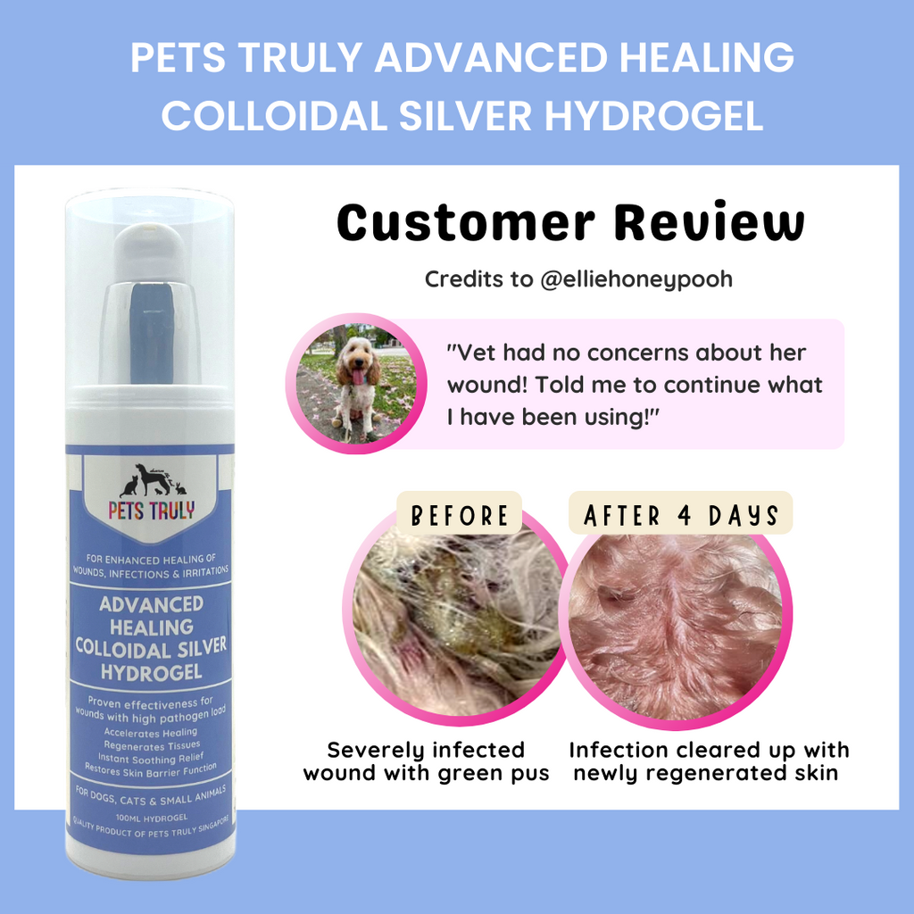 Pets Truly Advanced Healing Colloidal Silver Hydrogel