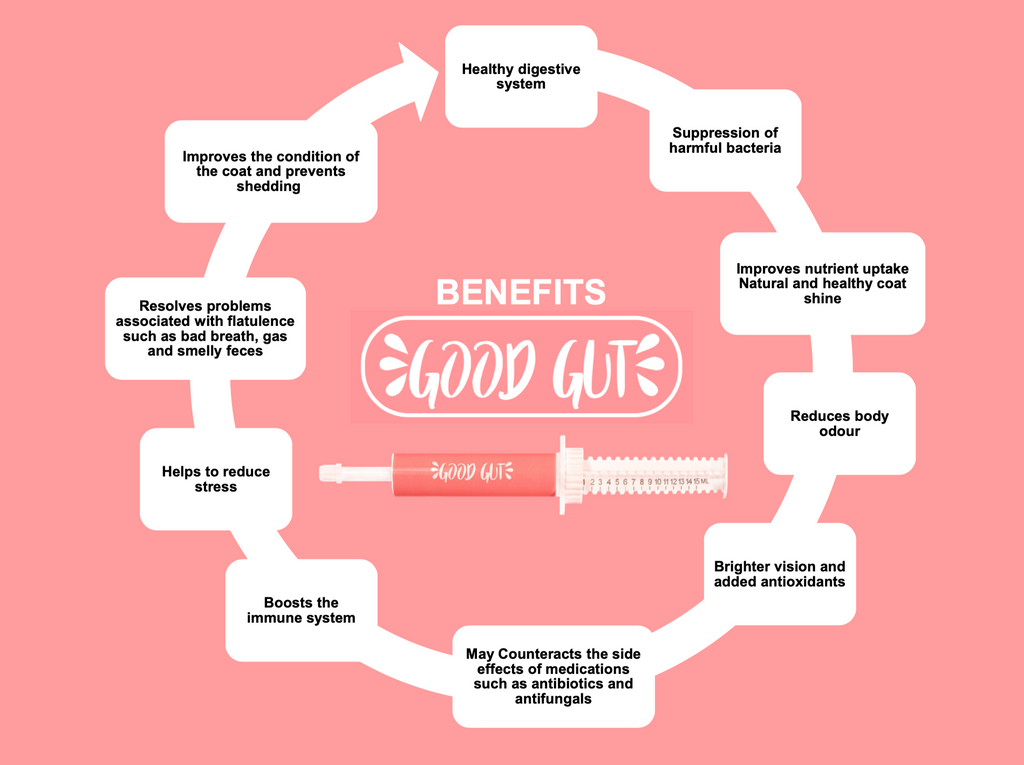 Good Gut Probiotic Gel for Cats & Dogs