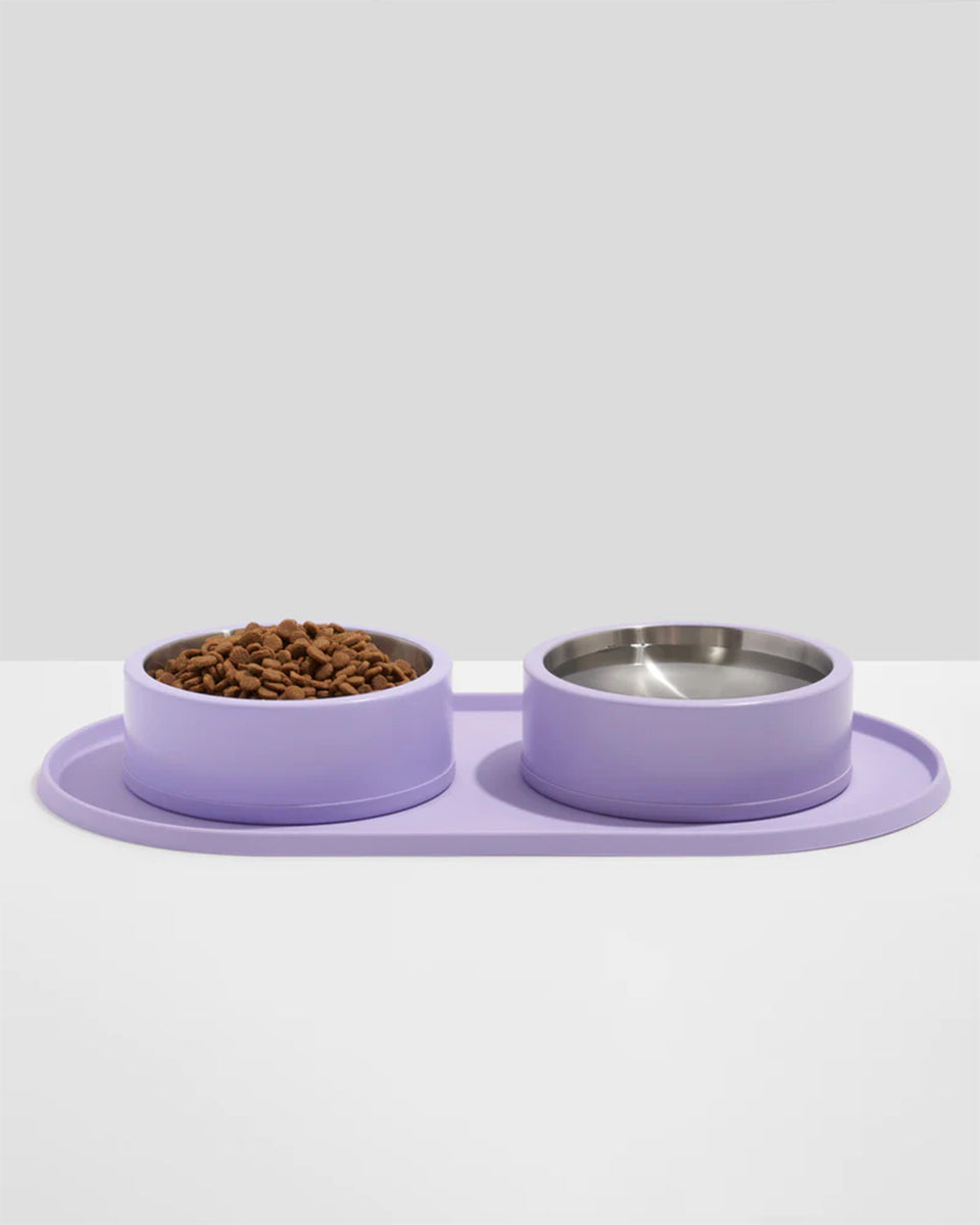 Purple dog hot sale bowl