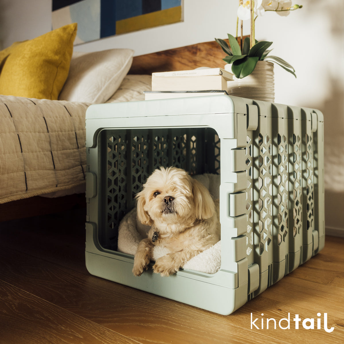 KindTail PAWD – NNYEO