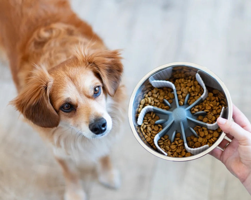 Universal Slow Feeder Bowl Insert with Suction, 7.5"