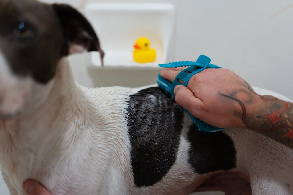 Messy Mutts Silicone Dual Sided Grooming Brush