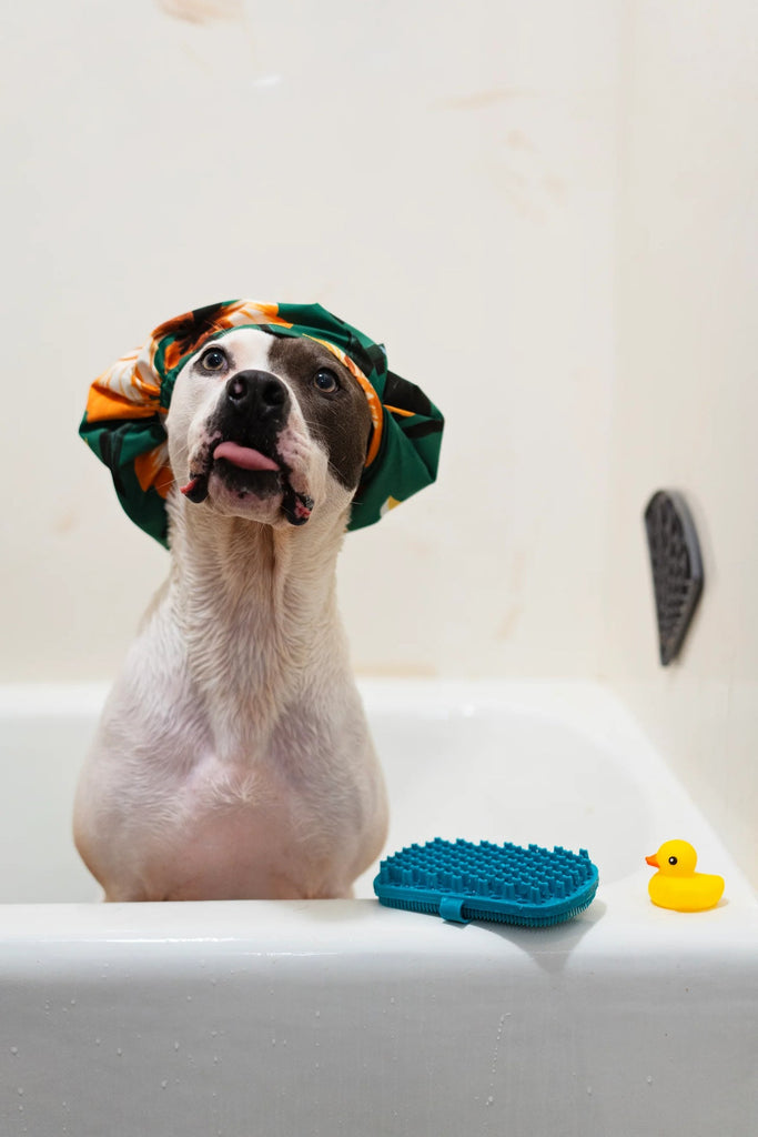 Messy Mutts Silicone Dual Sided Grooming Brush