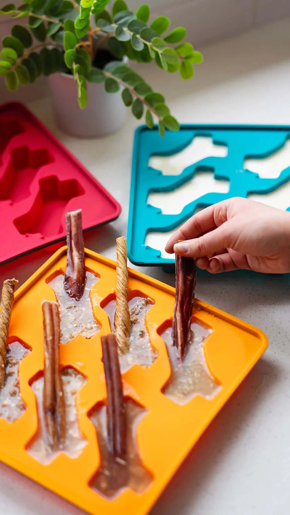 Messy Mutts Framed "Spill Resistant" Silicone Popsicle Mold, Orange