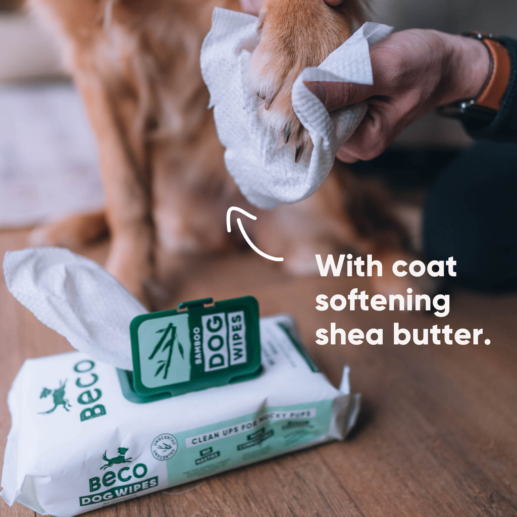 Beco Hypoallergenic Bamboo Dog Wipes