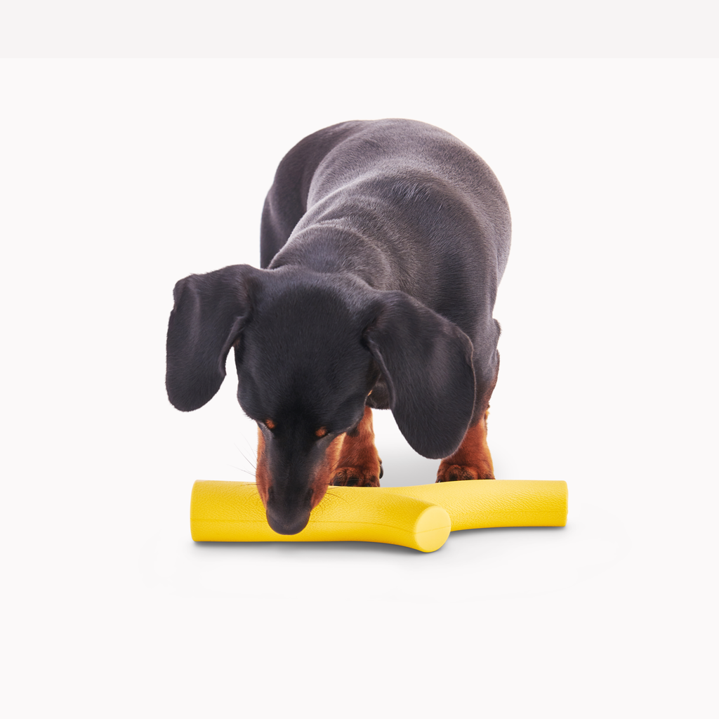 Beco Natural Rubber Super Stick Dog Toy | Interactive Dog Toy | Nut Butter | Bully Stick Holder | Treat Hole