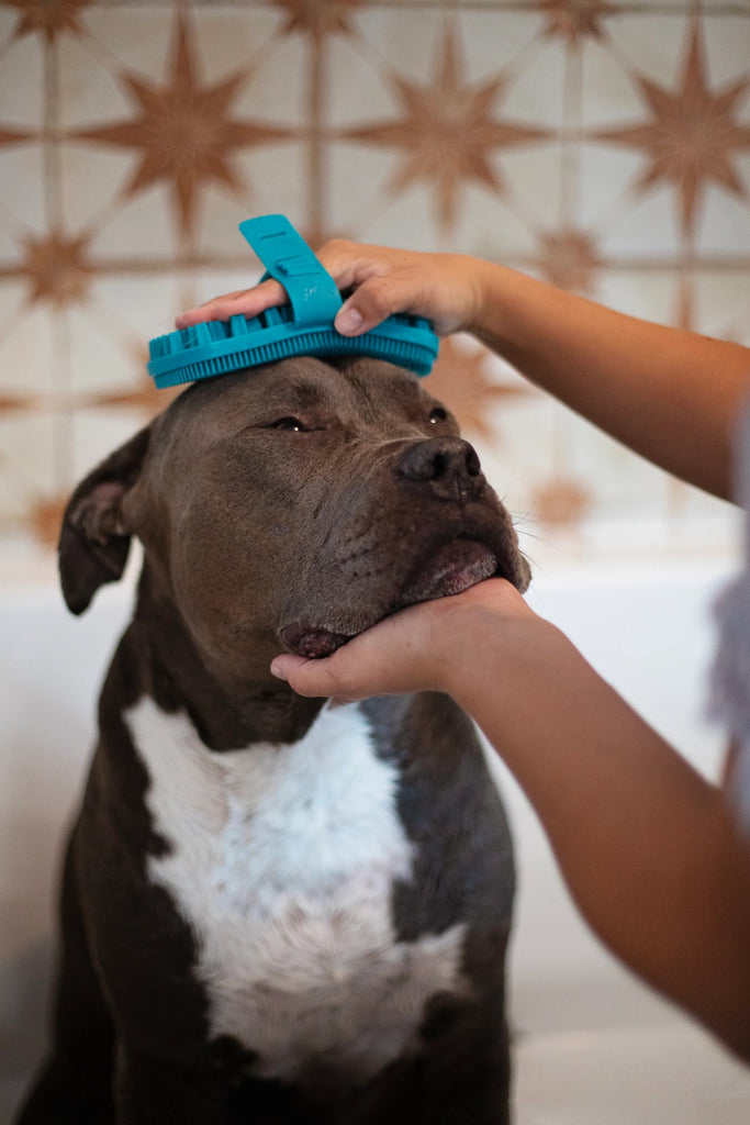Messy Mutts Silicone Dual Sided Grooming Brush