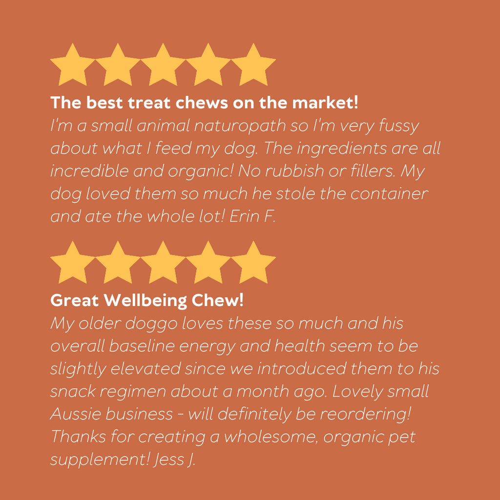Australian Pet Organics | Daily Wellbeing Dog Supplement | Organic Multivitamin Chews