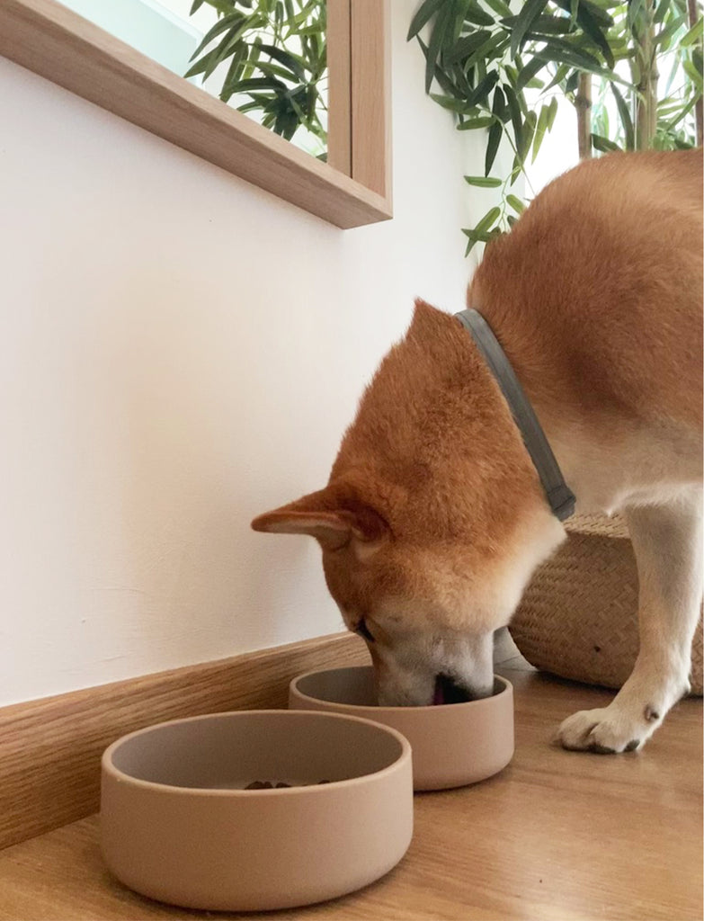 Tadazhi Silicone Bowl | Allergy-Friendly, Microwave, Freezer & Dishwasher Safe