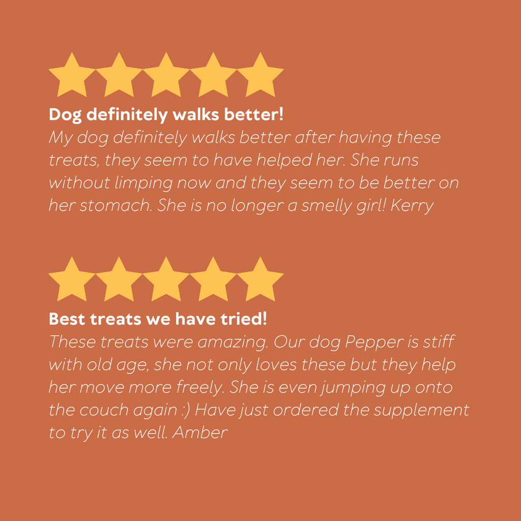 Australian Pet Organics | Hip & Joint Organic Treats | Rosehip, Turmeric & Supaw Blend