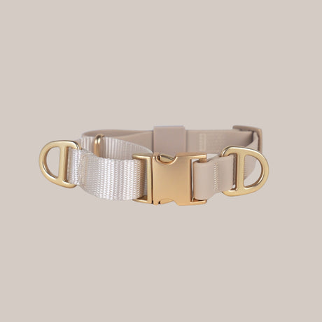 Komu Martingale Dog Collar in Champagne with Gold Hardware