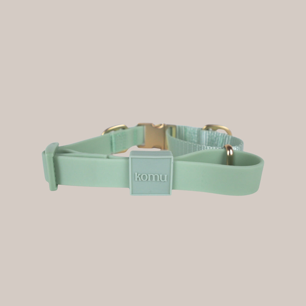 Back View of Komu Martingale Dog Collar in Mint with Gold Hardware