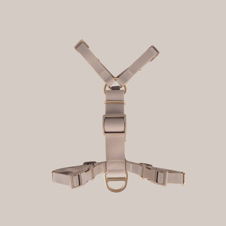 Komu Water-Resistant Harness, Champagne with Gold Hardware