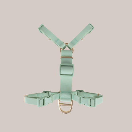 Komu Water-Resistant Harness in Mint with Gold Hardware Front View