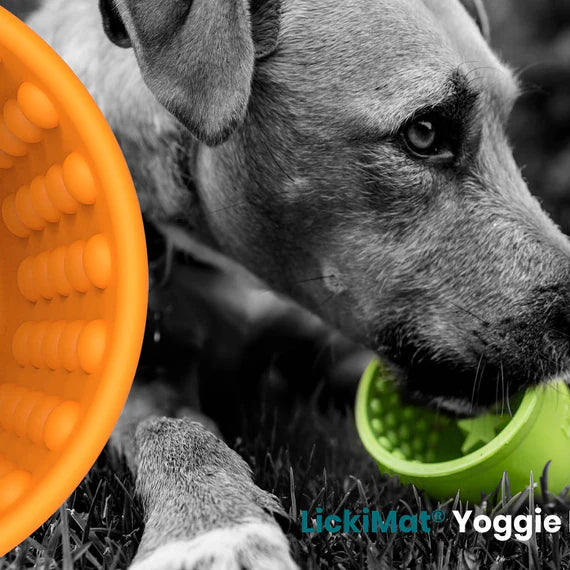 Lickimat Yoggie Pot™