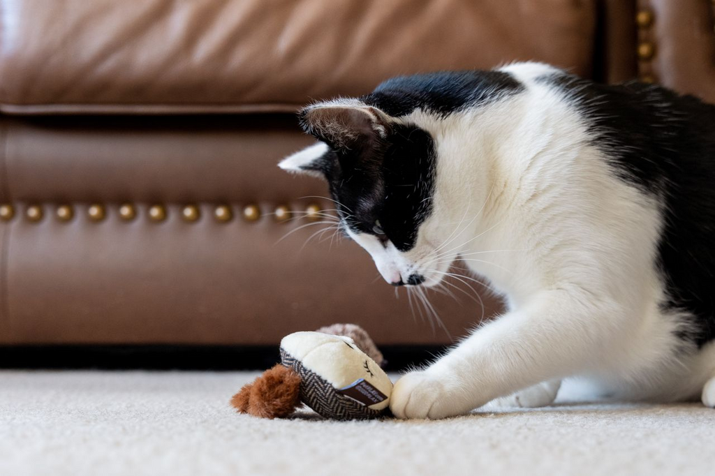 P.L.A.Y. Feline Frenzy - Bandit Buddies Catnip Toy Set