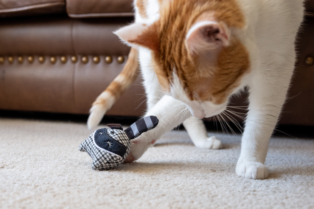 P.L.A.Y. Feline Frenzy - Bandit Buddies Catnip Toy Set