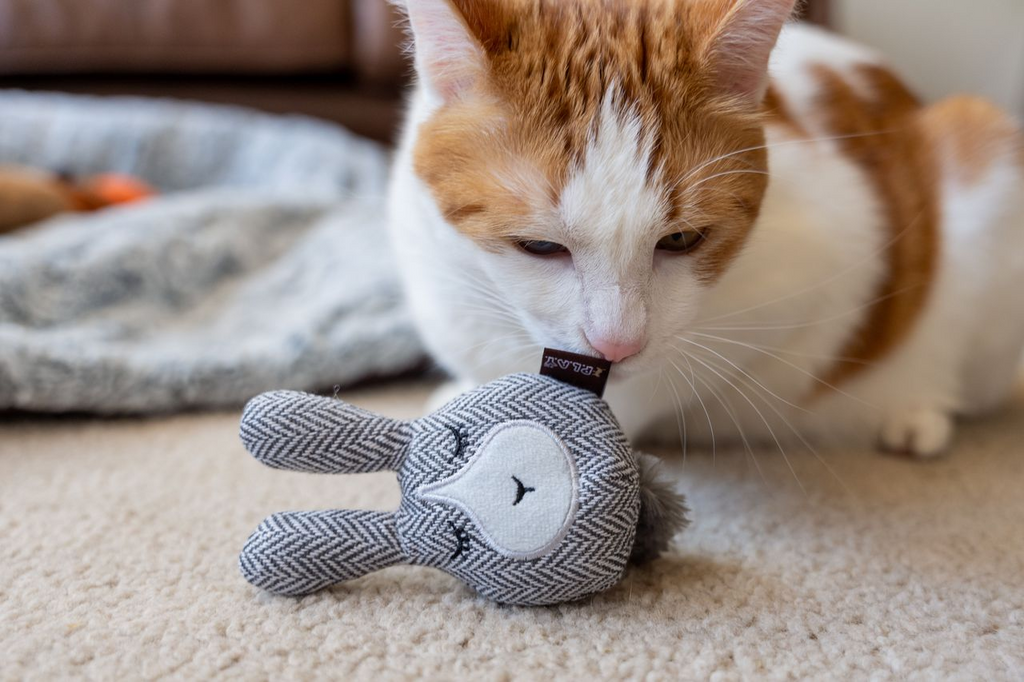 P.L.A.Y. Feline Frenzy - Foxsy and Hopsy Catnip Toy Set