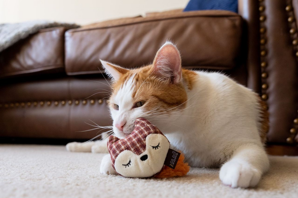 P.L.A.Y. Feline Frenzy - Foxsy and Hopsy Catnip Toy Set