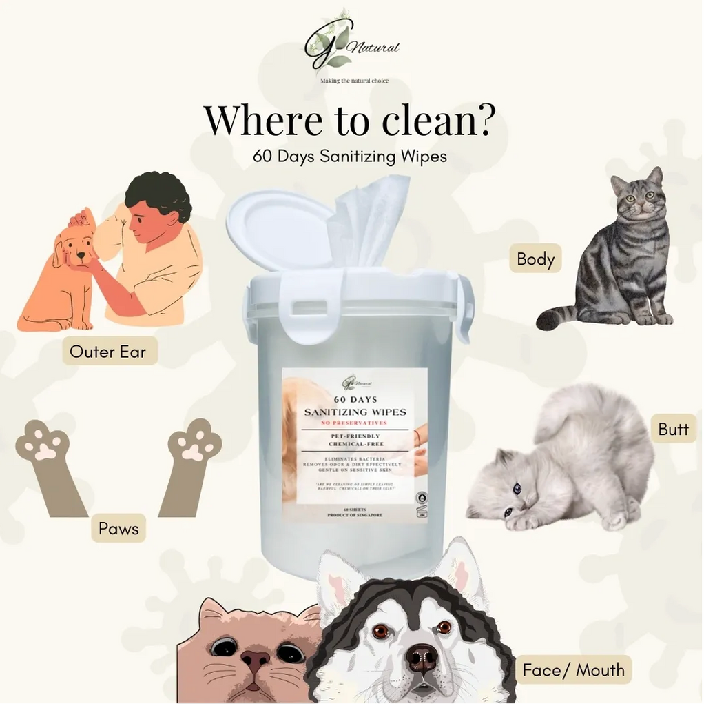 G-Natural | 60 Days Pet Sanitizing Wipes | Product of Singapore