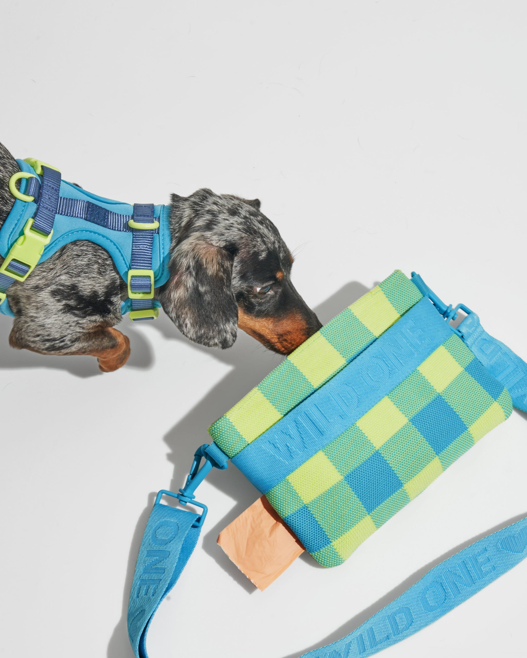 Wild One Treat Pouch, Limited Edition, IM Hudson Blue – NNYEO