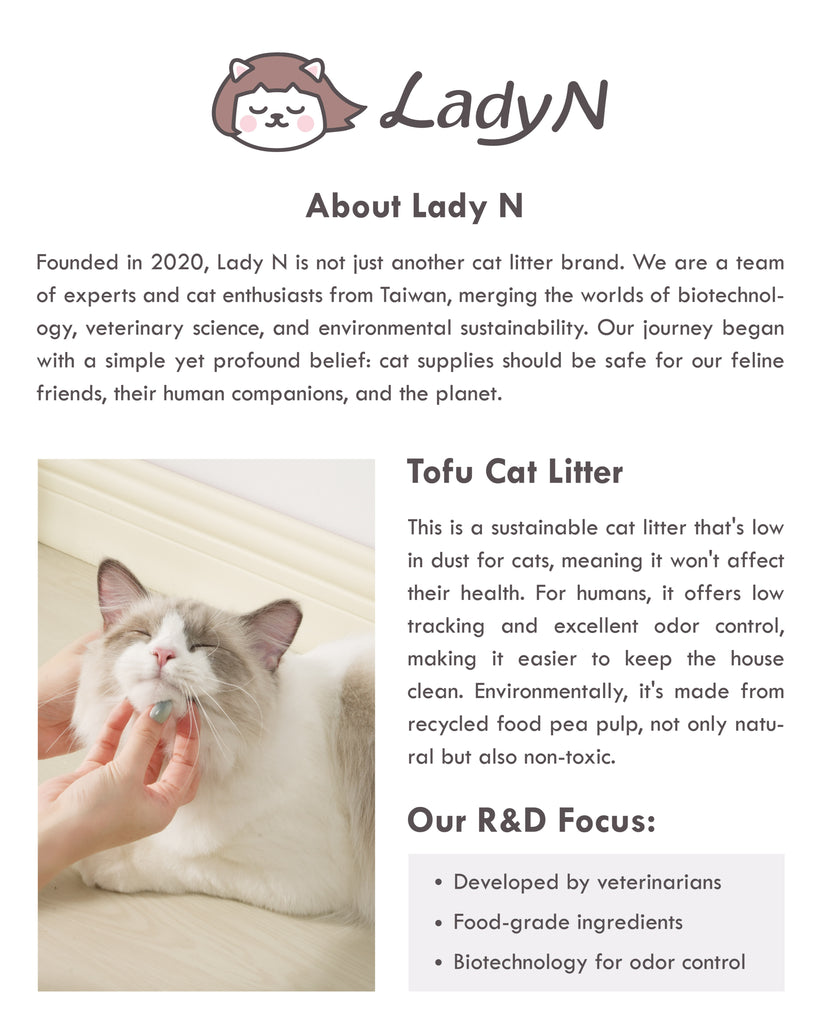 Writeup about Lady N, a brand from Taiwan that compromises of experts and cat enthusiasts.