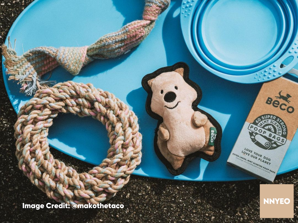Beco dog toys and accessories on Beco blue placemat 