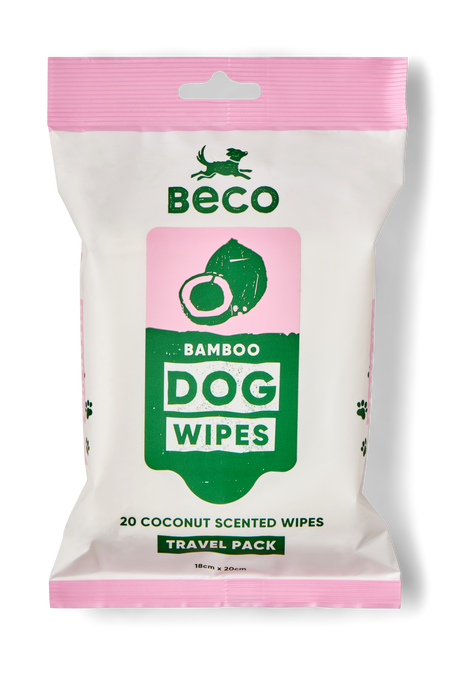 Front view of Beco Bamboo Travel Wipes, coconut scented 20-pack