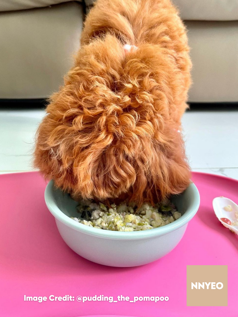 Dog eating from bowl on BECO pink placemat showing spill protection
