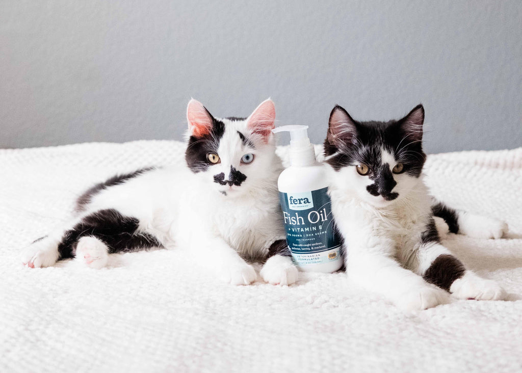 Fera Pets Fish Oil supplement is suitable for cats and dogs