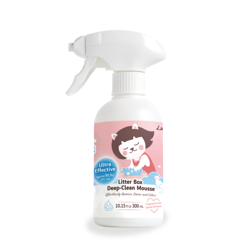 Lady N Deep-Clean Mousse 300ml spray bottle product shot on white background