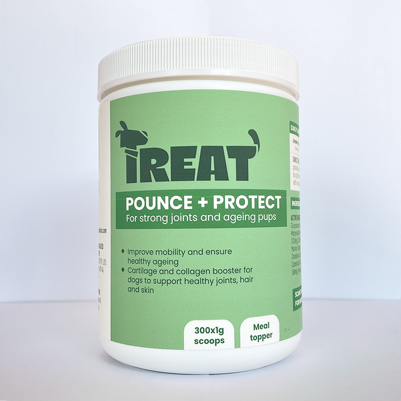 TREAT Therapeutics, POUNCE + PROTECT, Joints Support Meal Topper