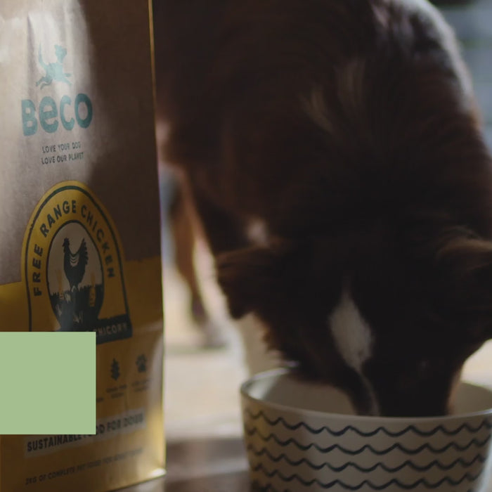 Beco Free Range Chicken with Carrot & Chicory Dry Adult Dog Food, Complete Recipe