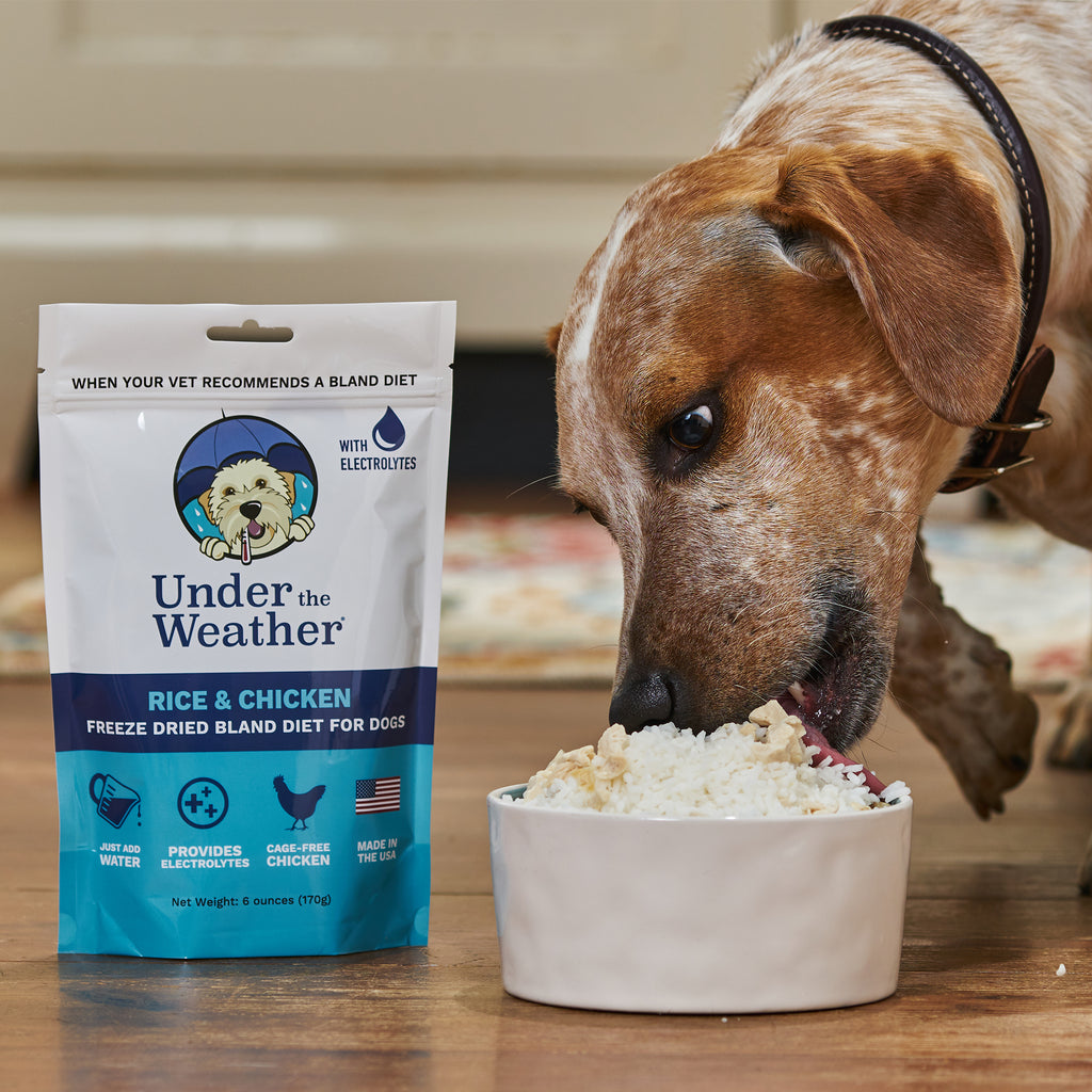 Under the Weather Chicken & Rice Freeze-Dried Bland Diet with Electrolytes for Sick Unwell Dogs