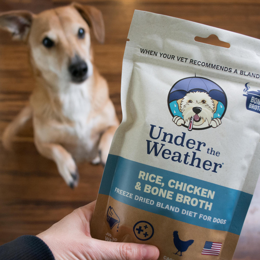Under the Weather Rice, Chicken & Bone Broth Freeze Dried Bland Diet for Unwell and Sick Dogs