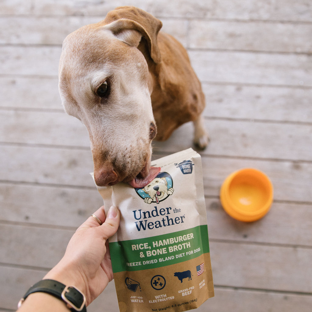 Under the Weather Rice, Hamburger & Bone Broth Freeze Dried Bland Diet for Unwell and Sick Dogs