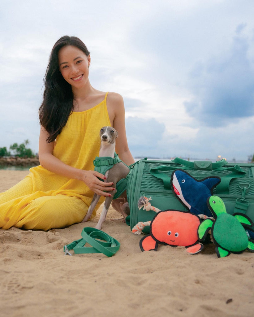 NNYEO Singapore & Debra Loi Collaboration - Beco Dog Toy, Turtle | Floats, Squeaks, Sustainable Material