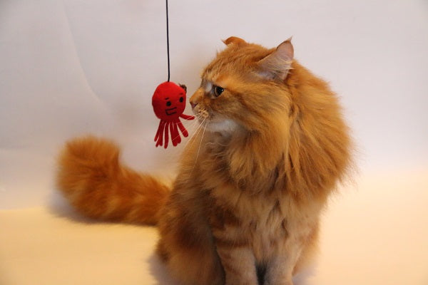 Bestever Japan | Octopus Teaser Wand for Cats