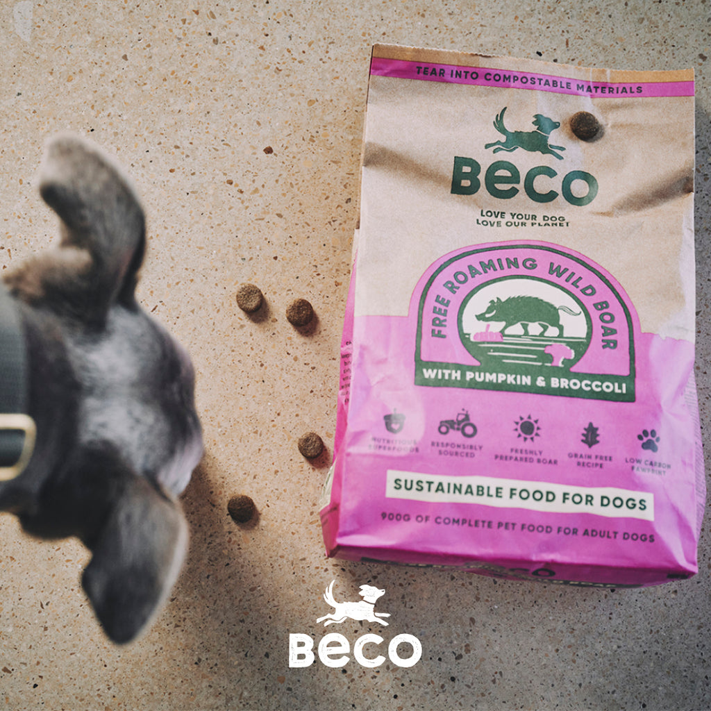Beco Wild Boar with Pumpkin & Broccoli Dry Adult Dog Food, Complete Recipe
