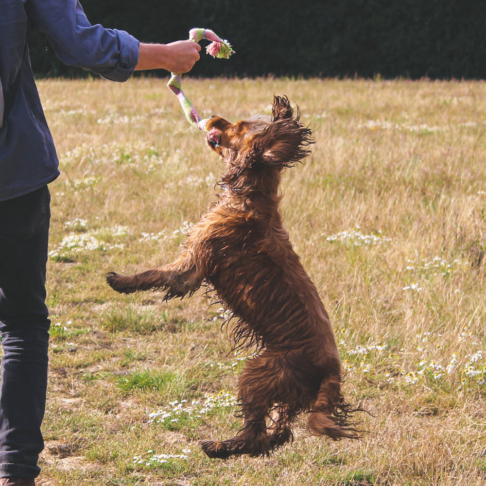 Beco Hemp Squeaky Rope Dog Toy