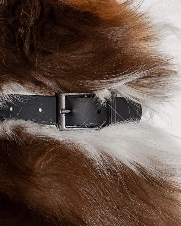 Wild One Collar, Black