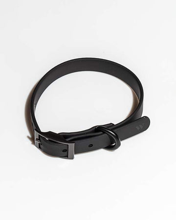 Wild One Collar
