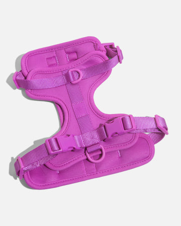 Wild One Harness, Orchid