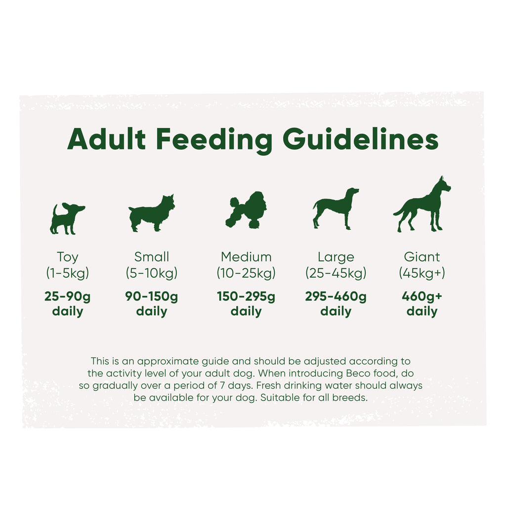 Beco Free Range Chicken with Carrot & Chicory Dry Adult Dog Food, Complete Recipe