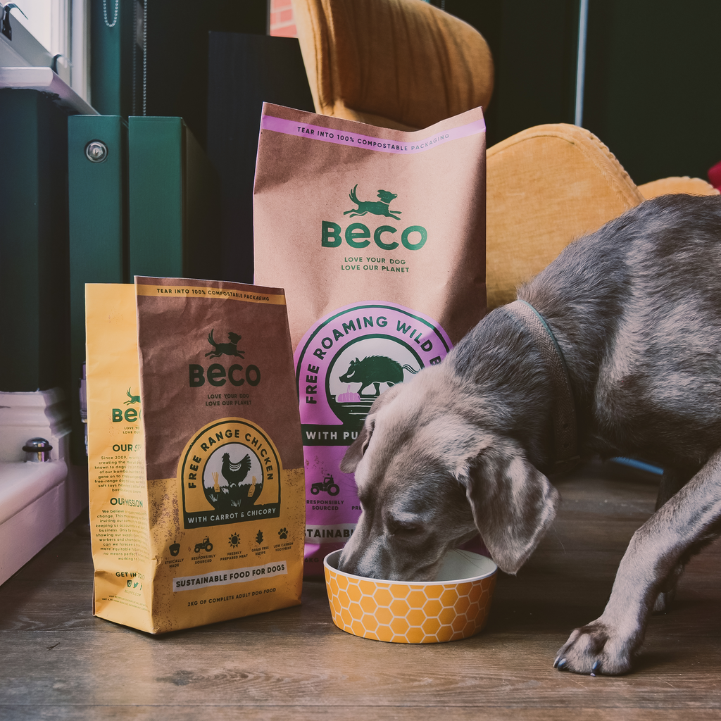 Beco Free Range Chicken with Carrot & Chicory Dry Adult Dog Food, Complete Recipe
