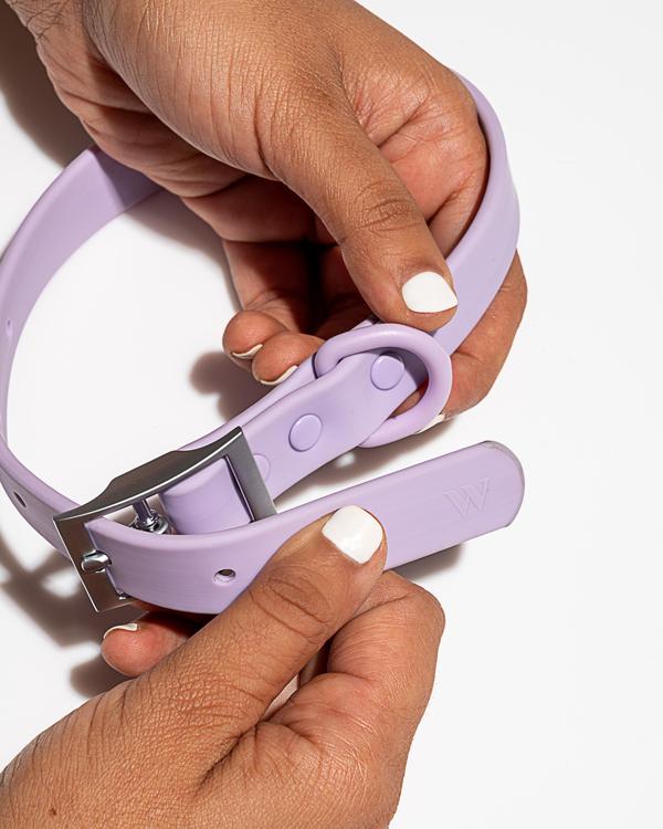 Wild One Collar, Lilac