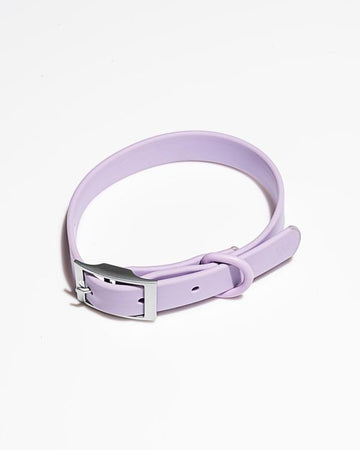 Wild One Collar, Lilac