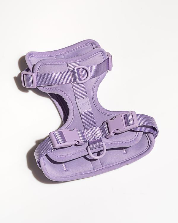 Wild One Dog Harness in Lilac