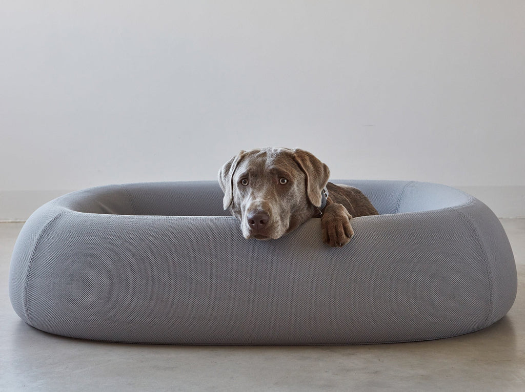 MiaCara Barca Dog Bed, Slate