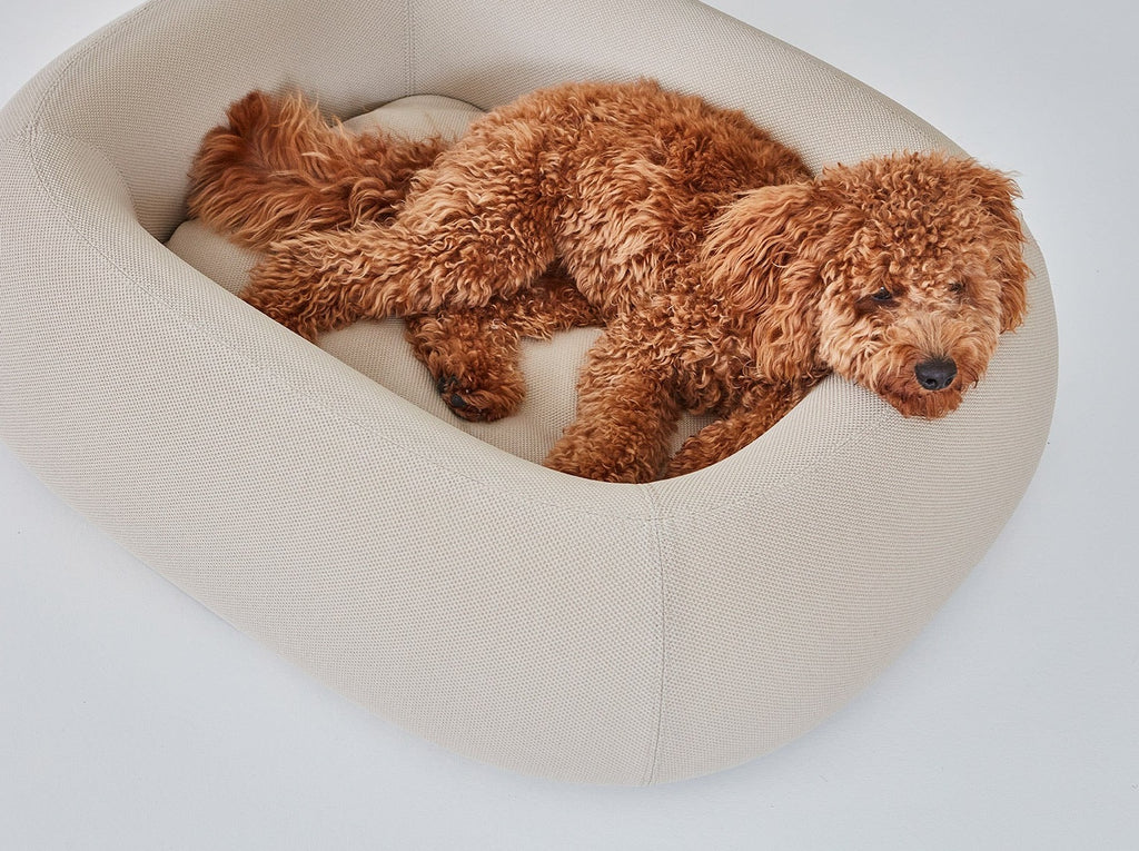 MiaCara Barca Dog Bed